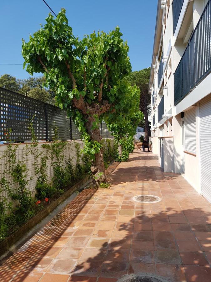 Apt Con Piscina En Calella De Palafrugell, Parking Gratuito Exteriér fotografie